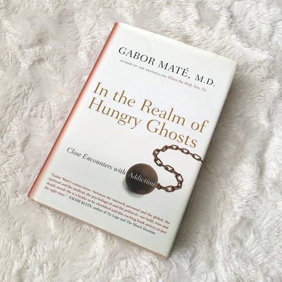 'In the Realm of Hungry Ghosts' First Edition Hardcover By Gabor Maté - Picture 1 of 8